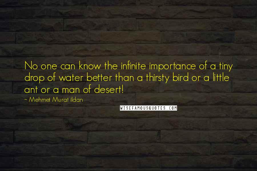 Mehmet Murat Ildan quotes: No one can know the infinite importance of a tiny drop of water better than a thirsty bird or a little ant or a man of desert!