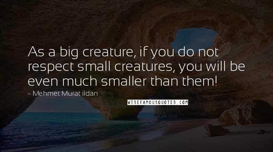 Mehmet Murat Ildan quotes: As a big creature, if you do not respect small creatures, you will be even much smaller than them!