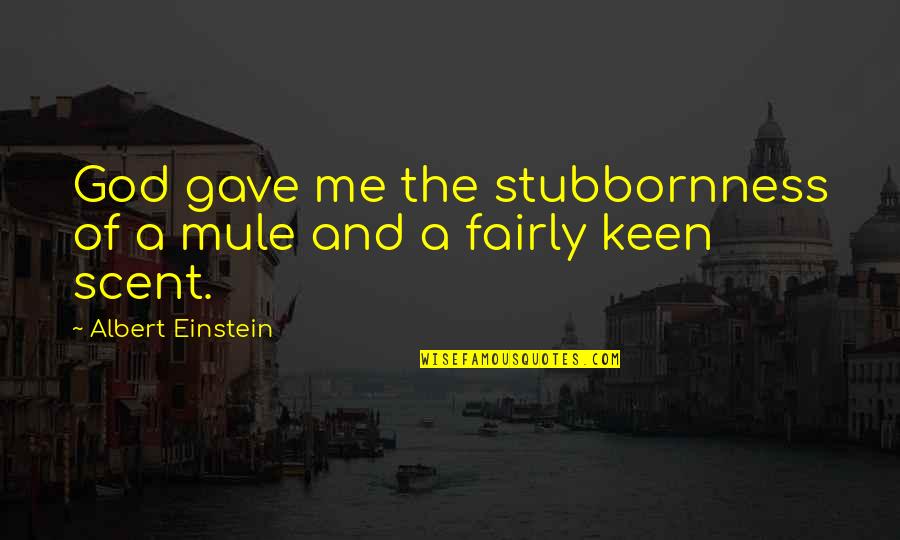 Mehnat In Urdu Quotes By Albert Einstein: God gave me the stubbornness of a mule Mehnat In Urdu Quotes By Albert Einstein: God gave me the stubbornness of a mule