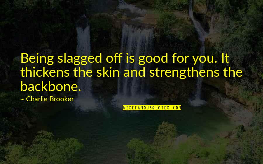 Mehrangiz Khosravi Quotes By Charlie Brooker: Being slagged off is good for you. It