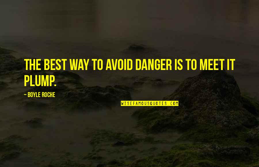 Meilianshe Quotes By Boyle Roche: The best way to avoid danger is to