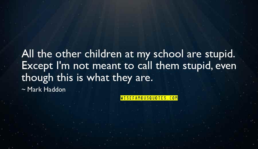 Meilir Page Jones Quotes By Mark Haddon: All the other children at my school are