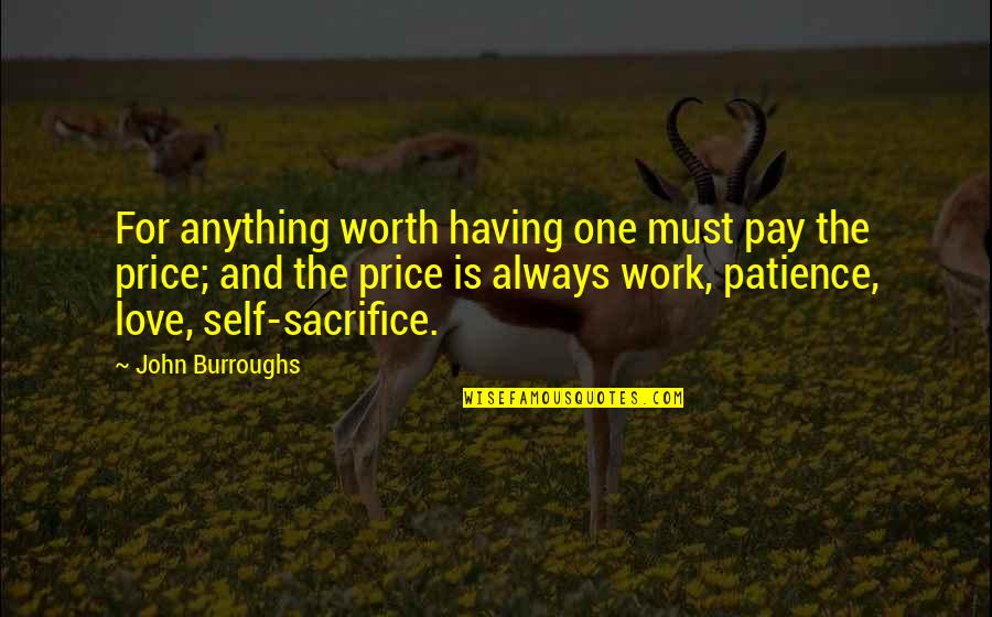Meimaroglou Quotes By John Burroughs: For anything worth having one must pay the Meimaroglou Quotes By John Burroughs: For anything worth having one must pay the