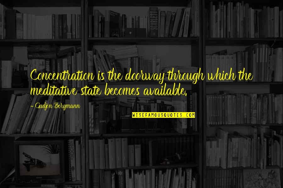 Mein Kampf Expansion Quotes By Gudjon Bergmann: Concentration is the doorway through which the meditative