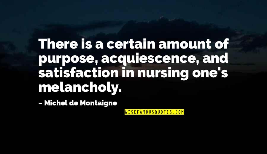 Meinerdings Quotes By Michel De Montaigne: There is a certain amount of purpose, acquiescence,