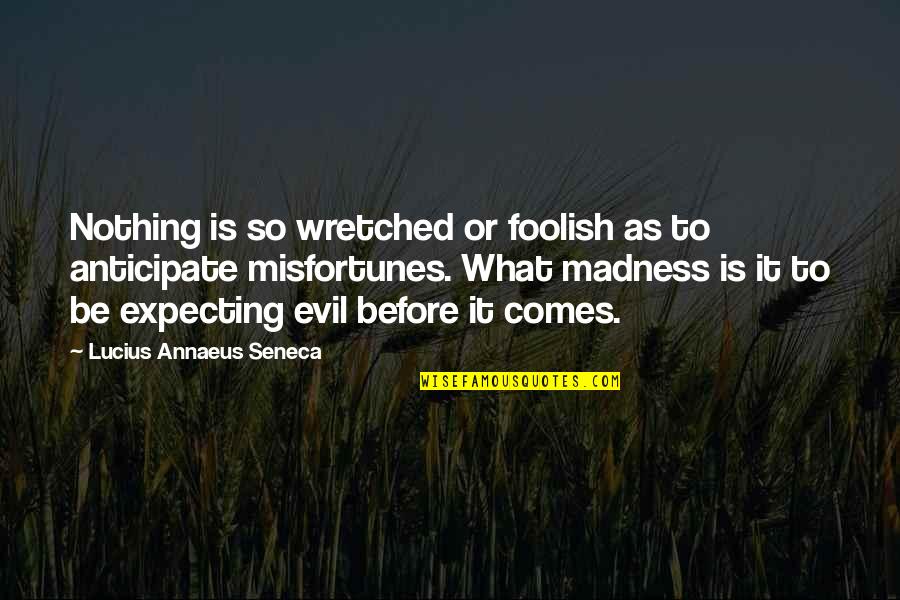 Meinstein Quotes By Lucius Annaeus Seneca: Nothing is so wretched or foolish as to