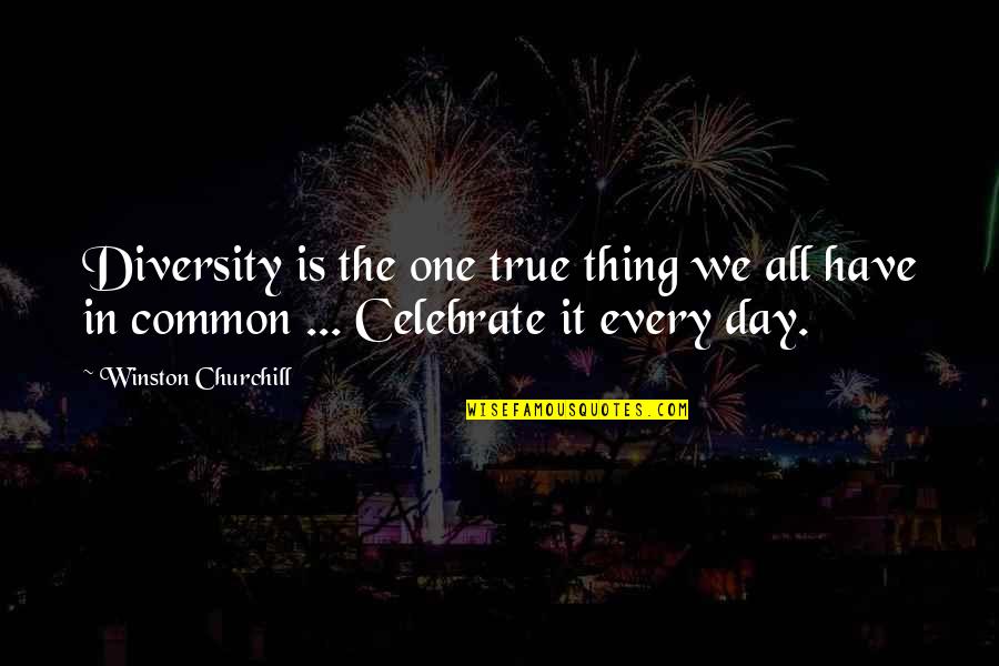 Meinstein Quotes By Winston Churchill: Diversity is the one true thing we all