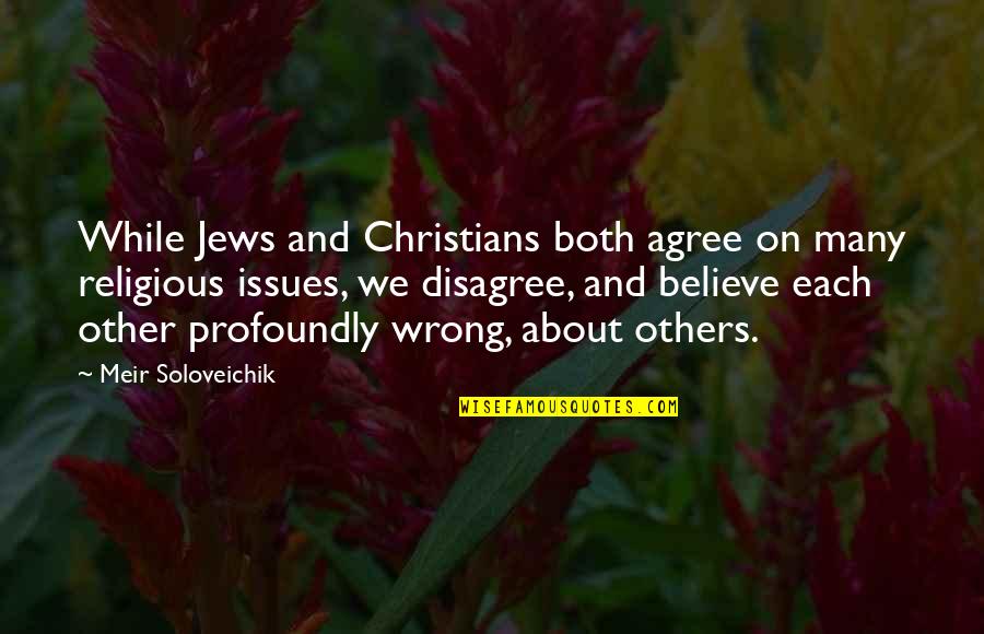 Meir Quotes By Meir Soloveichik: While Jews and Christians both agree on many