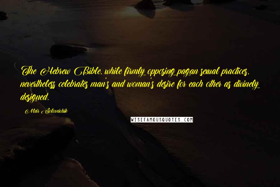 Meir Soloveichik quotes: The Hebrew Bible, while firmly opposing pagan sexual practices, nevertheless celebrates man's and woman's desire for each other as divinely designed. Meir Soloveichik quotes: The Hebrew Bible, while firmly opposing pagan sexual practices, nevertheless celebrates man's and woman's desire for each other as divinely designed.