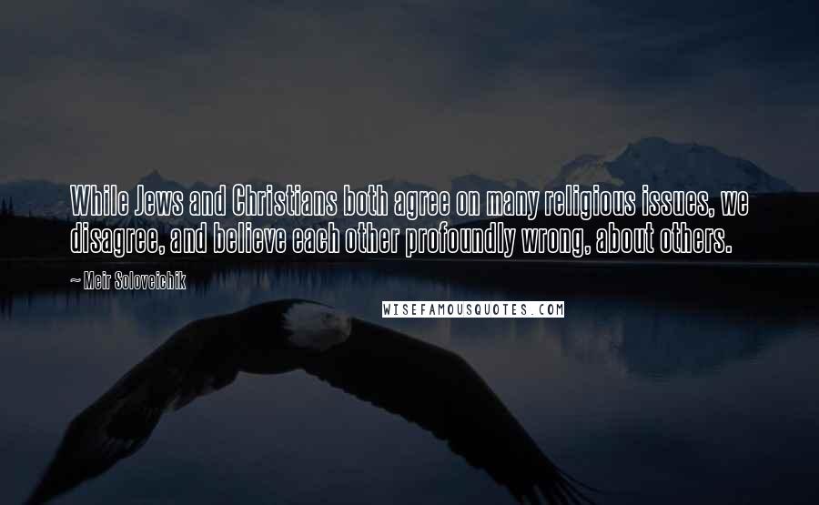 Meir Soloveichik quotes: While Jews and Christians both agree on many religious issues, we disagree, and believe each other profoundly wrong, about others. Meir Soloveichik quotes: While Jews and Christians both agree on many religious issues, we disagree, and believe each other profoundly wrong, about others.