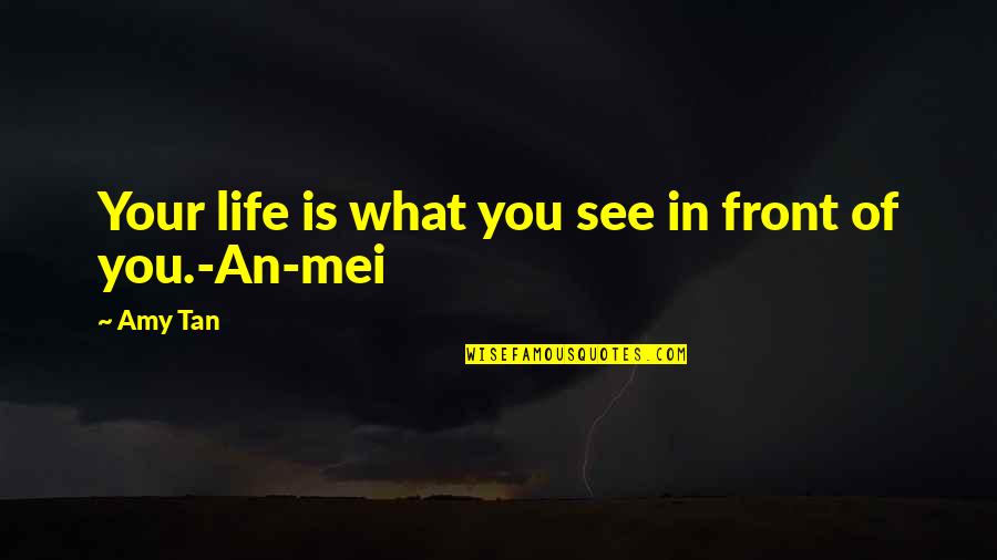 Mei's Quotes By Amy Tan: Your life is what you see in front