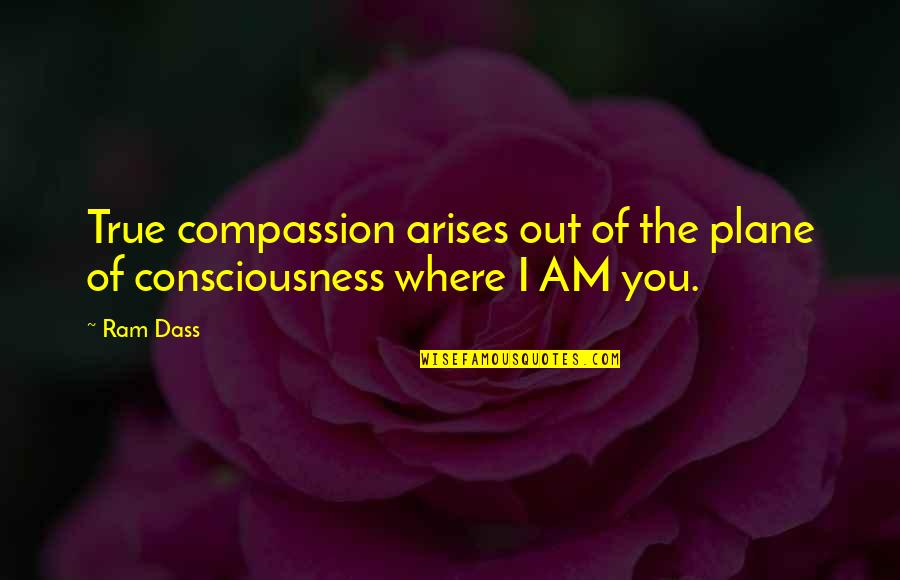 Mejilla In Spanish Quotes By Ram Dass: True compassion arises out of the plane of
