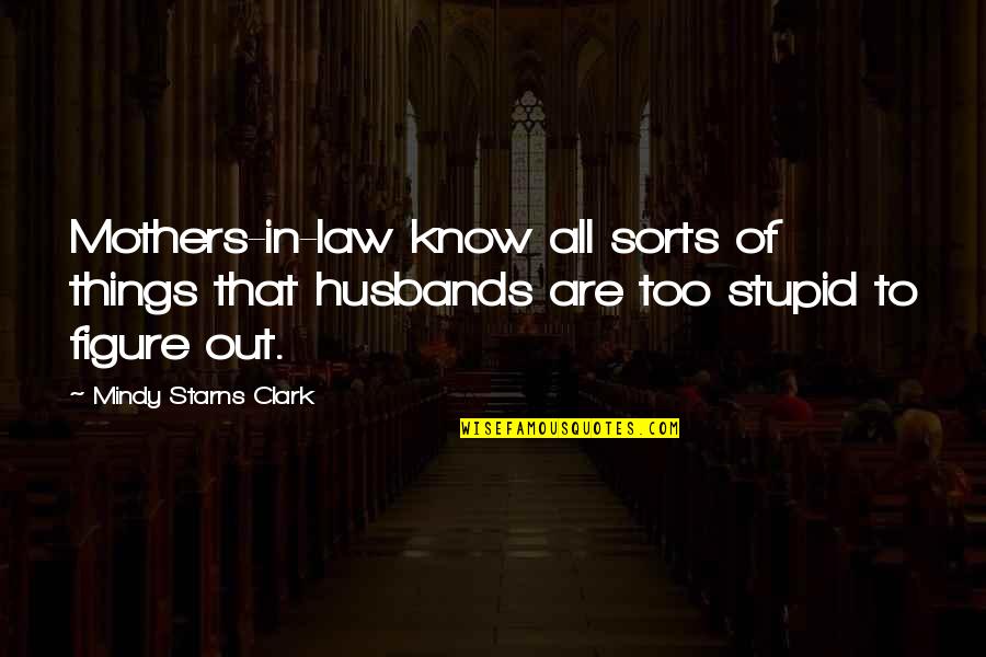 Mejo Bastos Quotes By Mindy Starns Clark: Mothers-in-law know all sorts of things that husbands