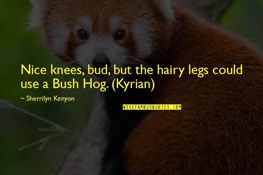 Meksiko Karta Quotes By Sherrilyn Kenyon: Nice knees, bud, but the hairy legs could