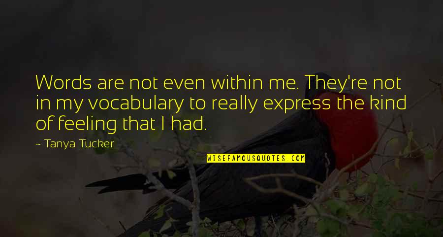 Mel Brooks Yiddish Quotes By Tanya Tucker: Words are not even within me. They're not Mel Brooks Yiddish Quotes By Tanya Tucker: Words are not even within me. They're not