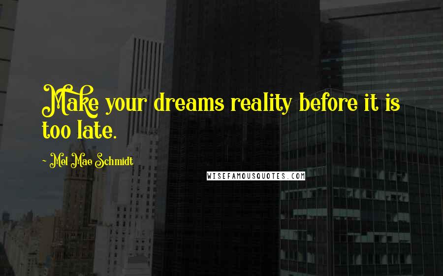 Mel Mae Schmidt quotes: Make your dreams reality before it is too late.