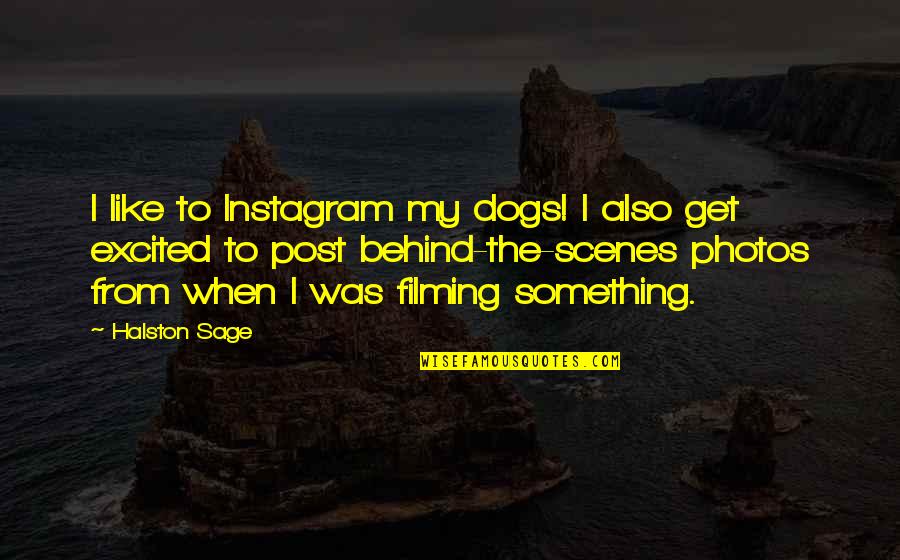 Melancholie Cz Quotes By Halston Sage: I like to Instagram my dogs! I also