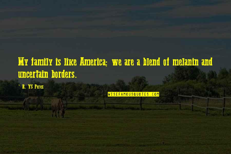 Melanin Quotes By R. YS Perez: My family is like America; we are a