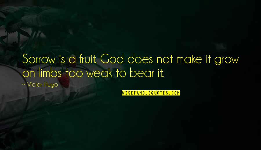 Melba Beals Quotes By Victor Hugo: Sorrow is a fruit. God does not make