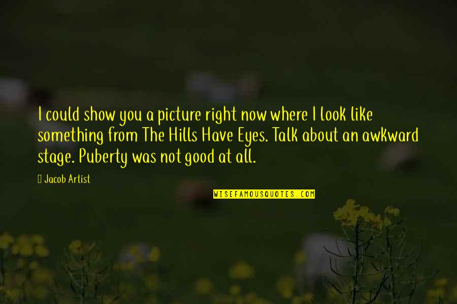 Melein Quotes By Jacob Artist: I could show you a picture right now Melein Quotes By Jacob Artist: I could show you a picture right now