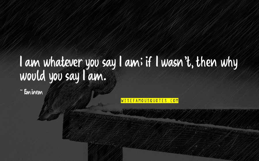 Meletus And Tati Quotes By Eminem: I am whatever you say I am; if