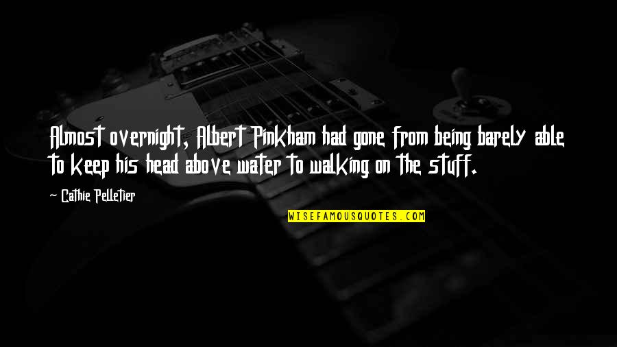 Melhado Mauricio Quotes By Cathie Pelletier: Almost overnight, Albert Pinkham had gone from being Melhado Mauricio Quotes By Cathie Pelletier: Almost overnight, Albert Pinkham had gone from being