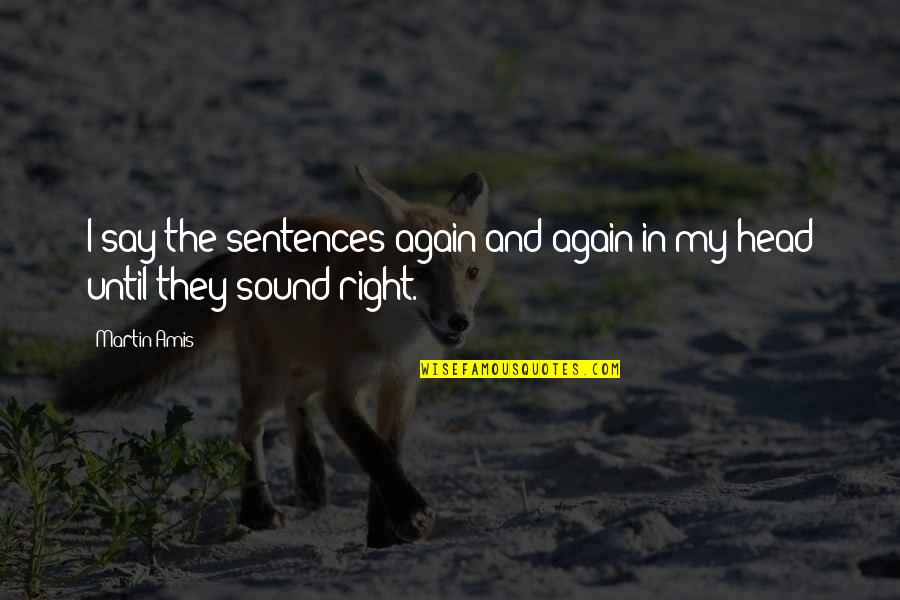Melhado Mauricio Quotes By Martin Amis: I say the sentences again and again in