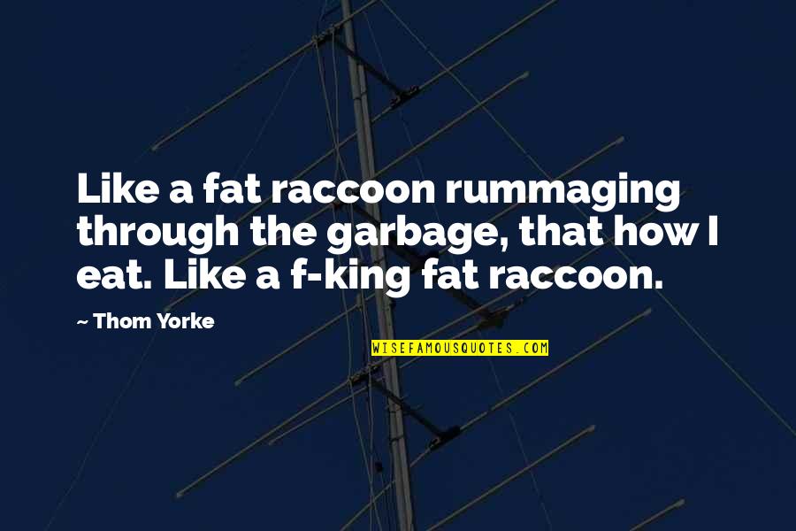 Melidis Glass Quotes By Thom Yorke: Like a fat raccoon rummaging through the garbage,