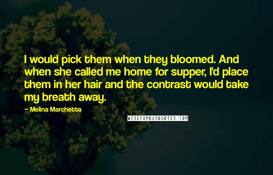 Melina Marchetta quotes: I would pick them when they bloomed. And when she called me home for supper, I'd place them in her hair and the contrast would take my breath away. Melina Marchetta quotes: I would pick them when they bloomed. And when she called me home for supper, I'd place them in her hair and the contrast would take my breath away.