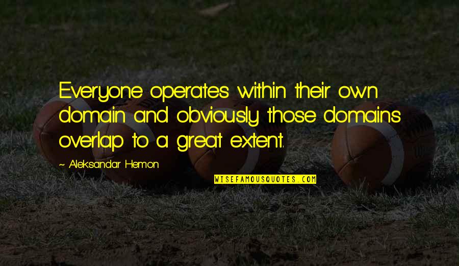 Melineh Regina Quotes By Aleksandar Hemon: Everyone operates within their own domain and obviously