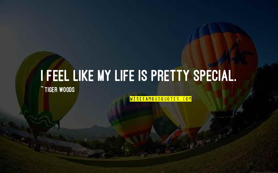 Melingo Narigon Quotes By Tiger Woods: I feel like my life is pretty special. Melingo Narigon Quotes By Tiger Woods: I feel like my life is pretty special.