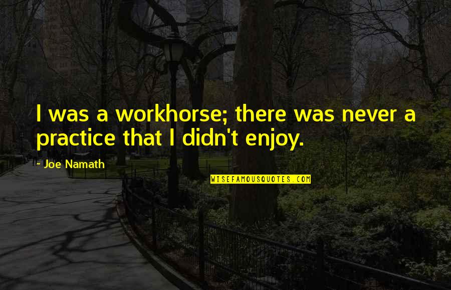 Melinte Cristian Quotes By Joe Namath: I was a workhorse; there was never a