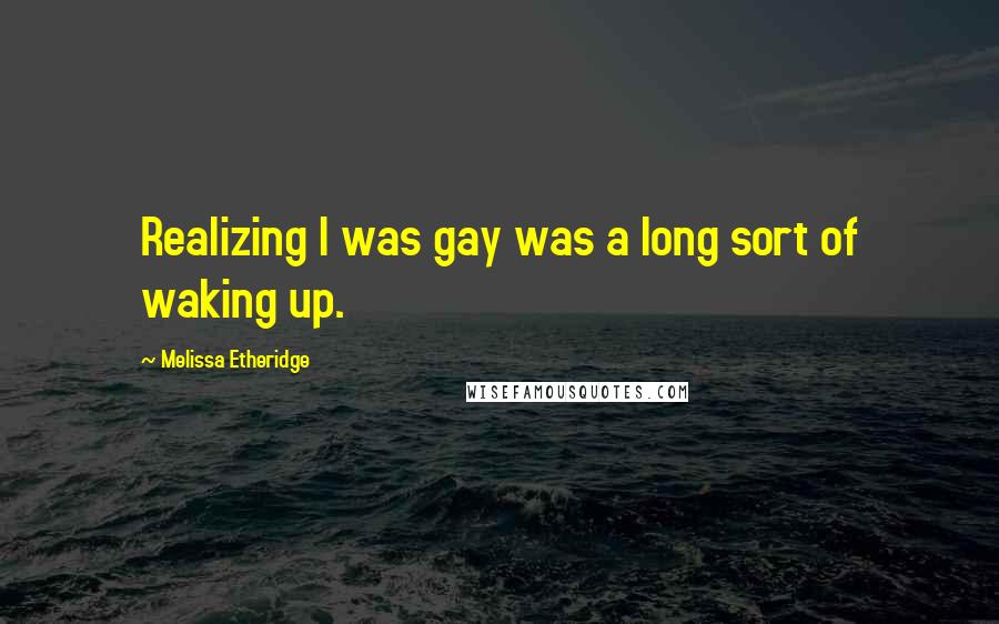 Melissa Etheridge quotes: Realizing I was gay was a long sort of waking up.