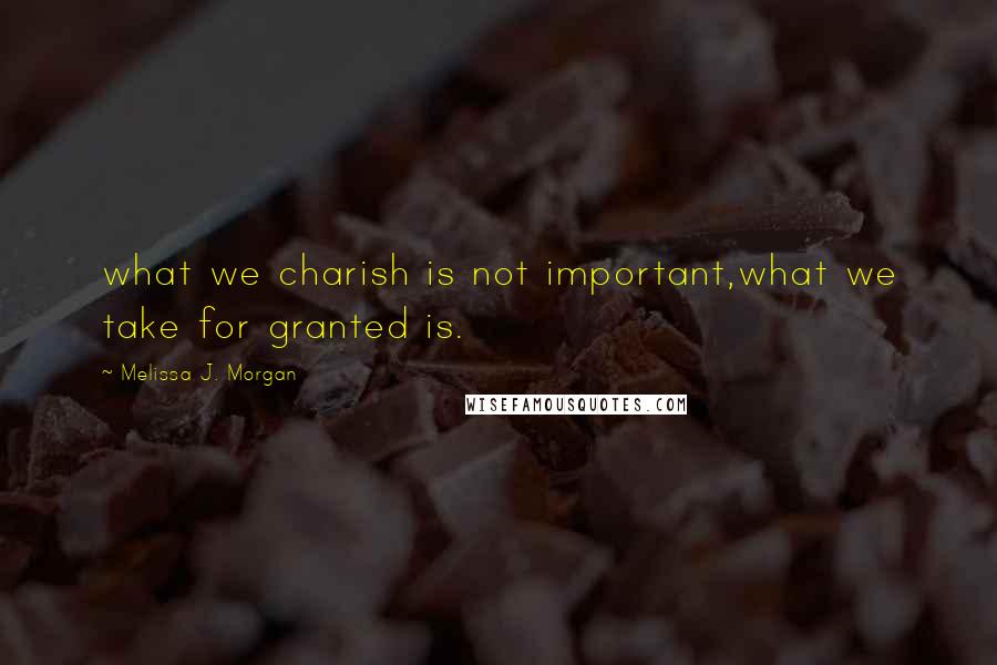 Melissa J. Morgan quotes: what we charish is not important,what we take for granted is.