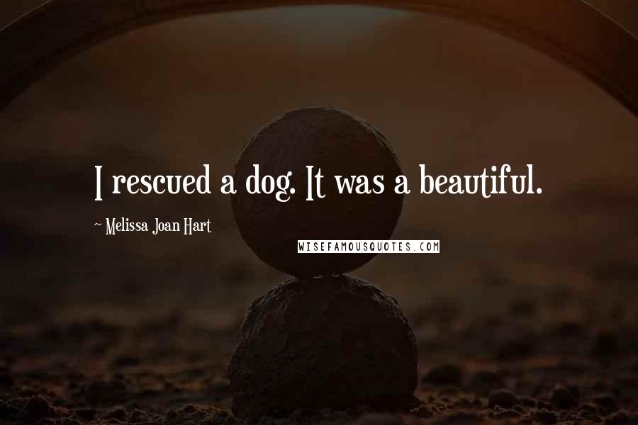 Melissa Joan Hart quotes: I rescued a dog. It was a beautiful.