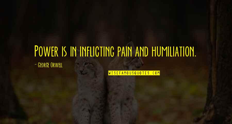 Melissa Ricks Quotes By George Orwell: Power is in inflicting pain and humiliation.