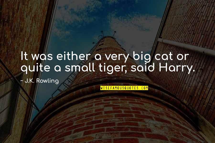 Melitta Pour Quotes By J.K. Rowling: It was either a very big cat or