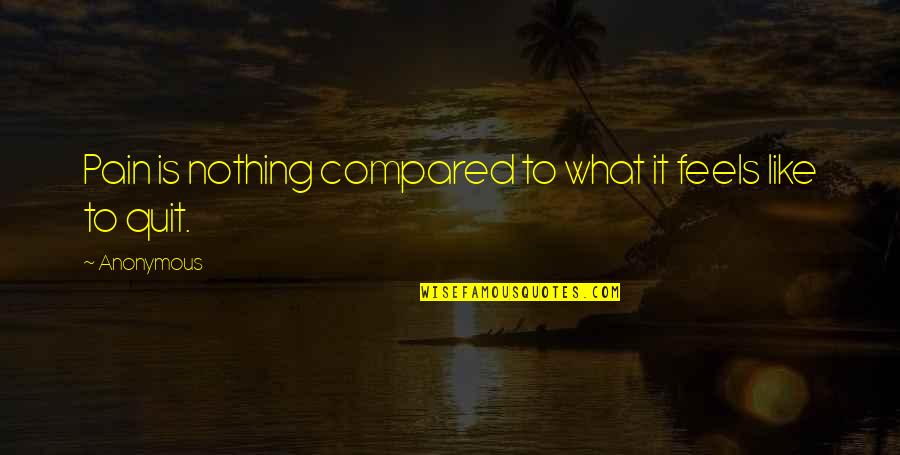 Mella Carron Quotes By Anonymous: Pain is nothing compared to what it feels