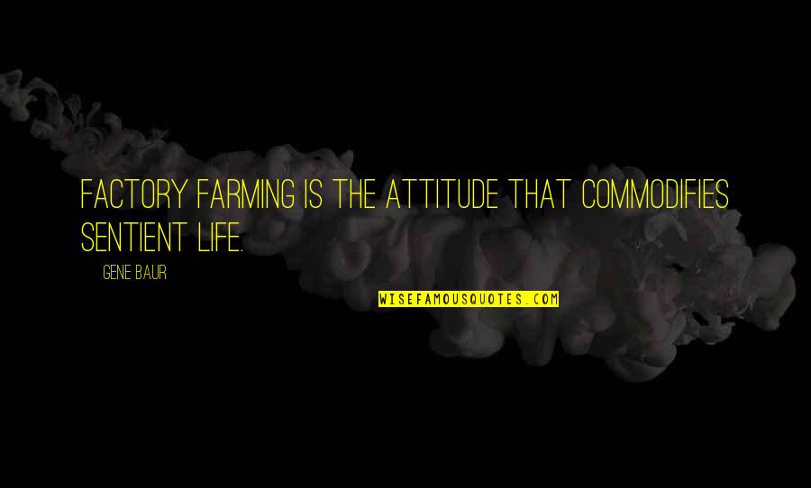 Mellifluous Def Quotes By Gene Baur: Factory farming is the attitude that commodifies sentient