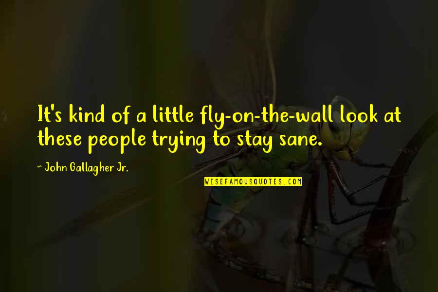 Mellifluous Def Quotes By John Gallagher Jr.: It's kind of a little fly-on-the-wall look at