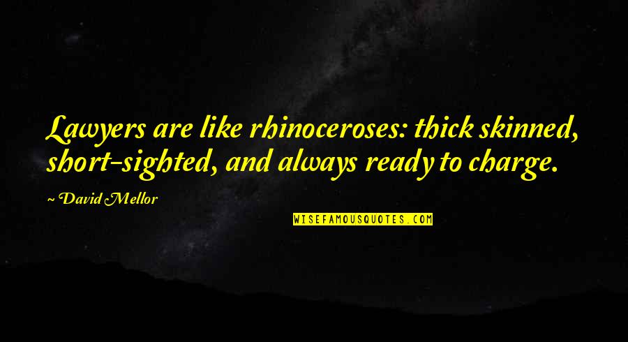 Mellor's Quotes By David Mellor: Lawyers are like rhinoceroses: thick skinned, short-sighted, and