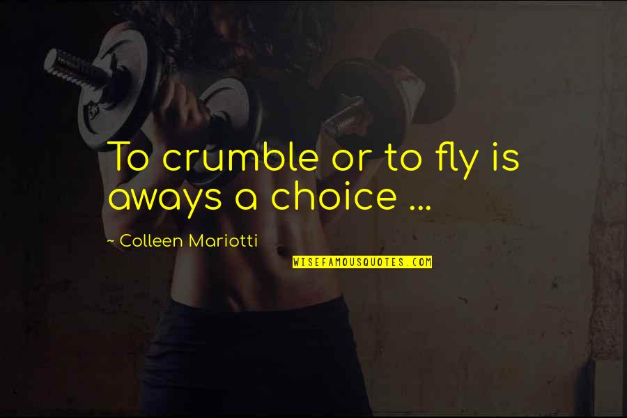 Mellow With Age Quotes By Colleen Mariotti: To crumble or to fly is aways a