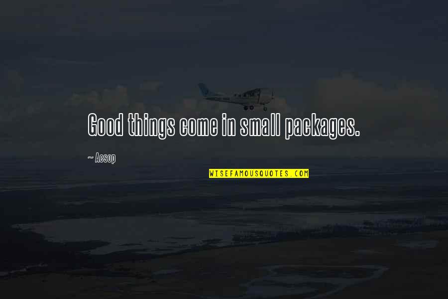 Melmoth Airplane Quotes By Aesop: Good things come in small packages.