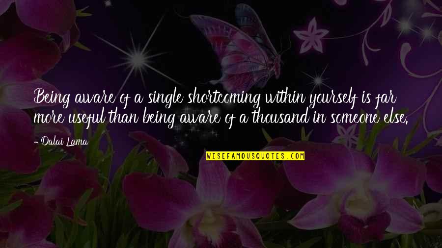 Melnick Den K Miminka Quotes By Dalai Lama: Being aware of a single shortcoming within yourself