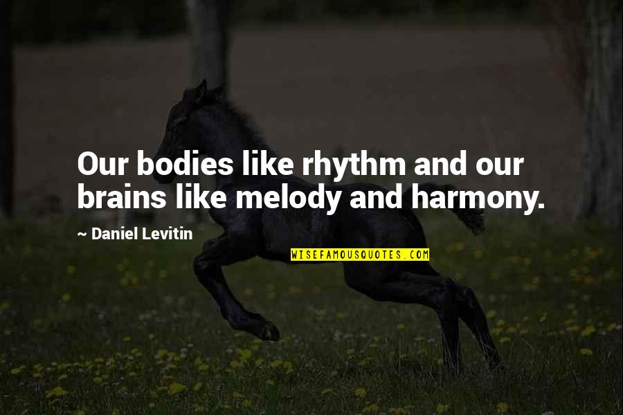 Melody And Rhythm Quotes By Daniel Levitin: Our bodies like rhythm and our brains like Melody And Rhythm Quotes By Daniel Levitin: Our bodies like rhythm and our brains like