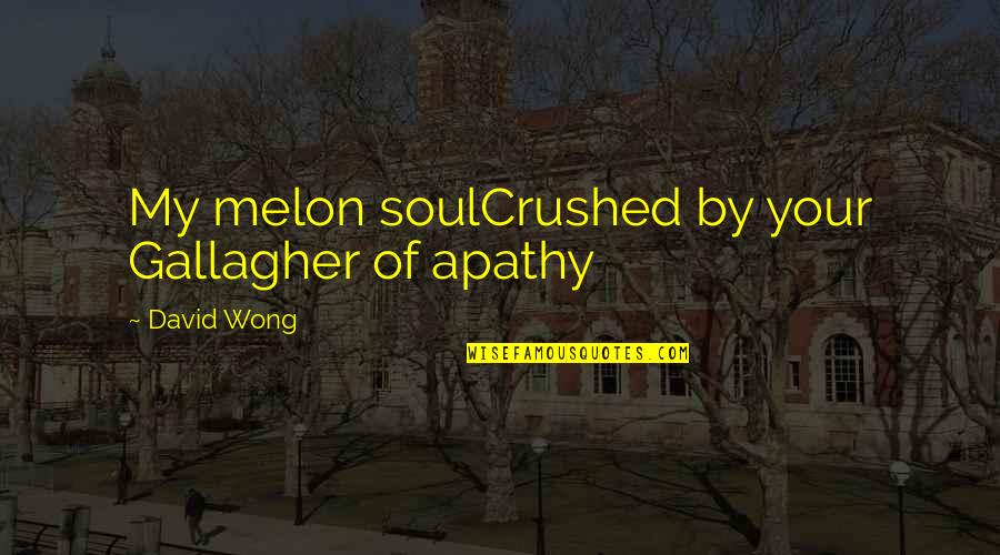 Melon Quotes By David Wong: My melon soulCrushed by your Gallagher of apathy