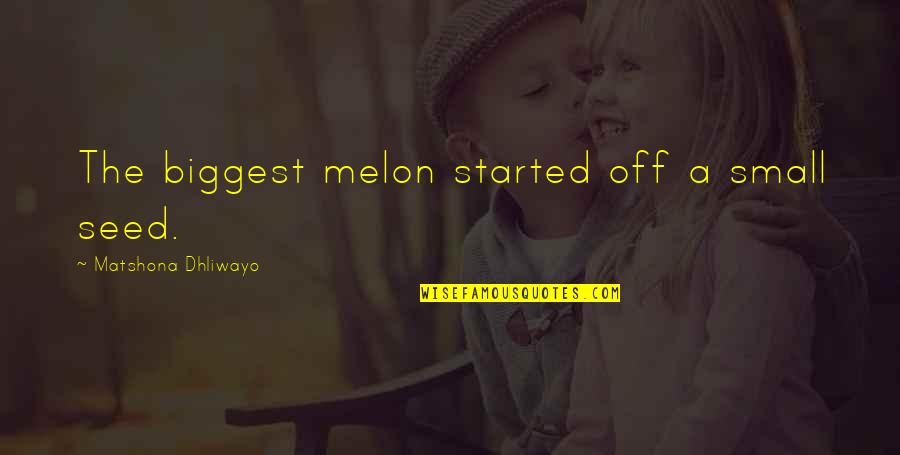 Melon Quotes By Matshona Dhliwayo: The biggest melon started off a small seed.