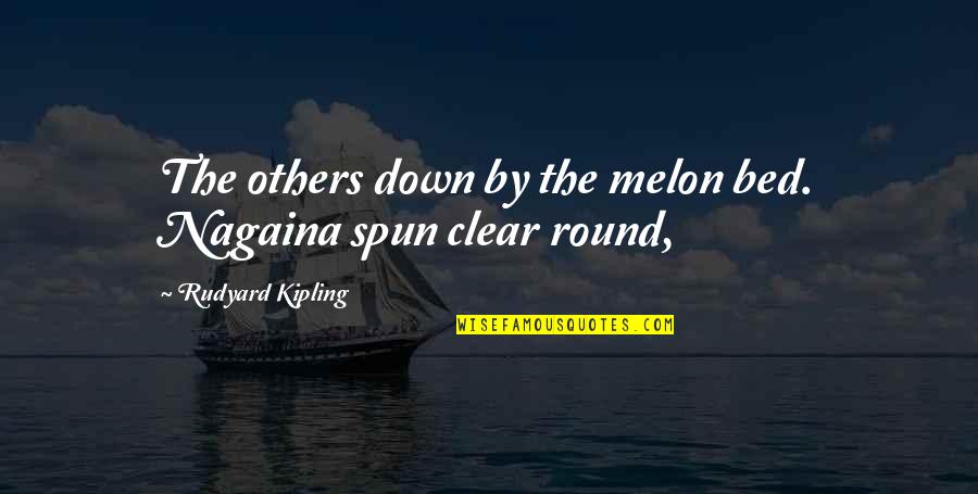 Melon Quotes By Rudyard Kipling: The others down by the melon bed. Nagaina