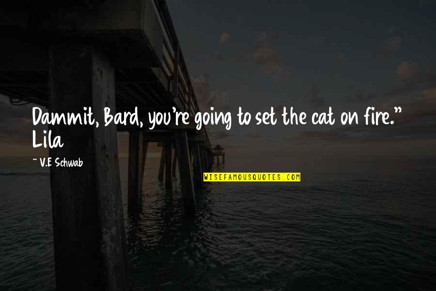 Melonseed Quotes By V.E Schwab: Dammit, Bard, you're going to set the cat