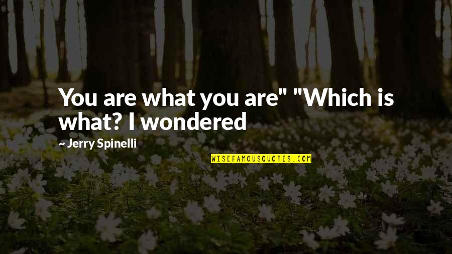 Melquiades 100 Years Of Solitude Quotes By Jerry Spinelli: You are what you are" "Which is what?